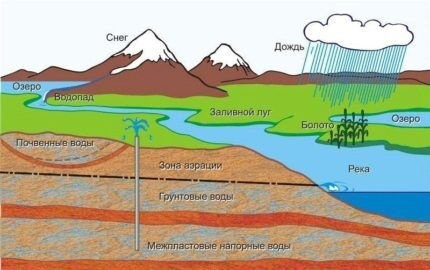 Влияние водоема на качество подземных вод